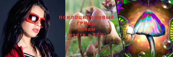 дмт Балахна
