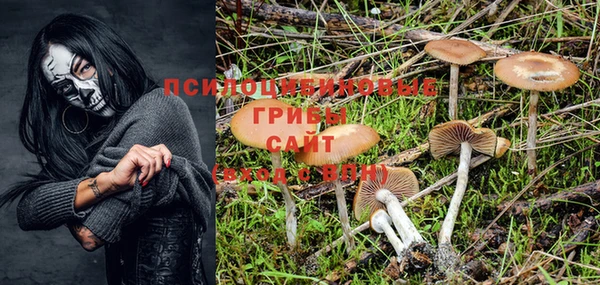 ALPHA-PVP Баксан