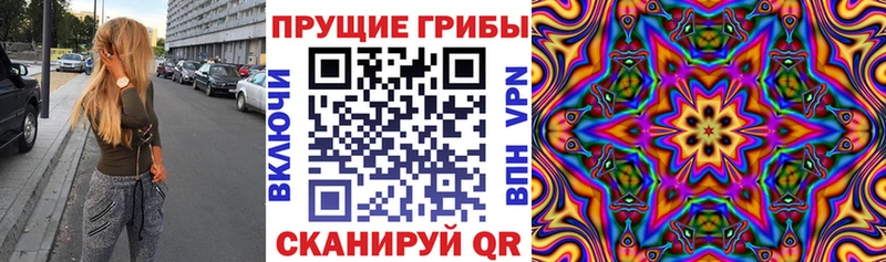 Псилоцибиновые грибы мицелий  где можно купить наркотик  Вилючинск 