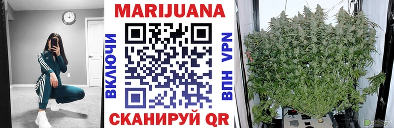 Бошки марихуана Amnesia  купить наркоту  Вилючинск 